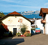 Kellerei Bozen 1