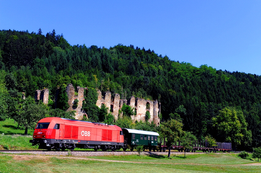 k-001. Grestenerb. bei Perwarth 01.08.2013 hr