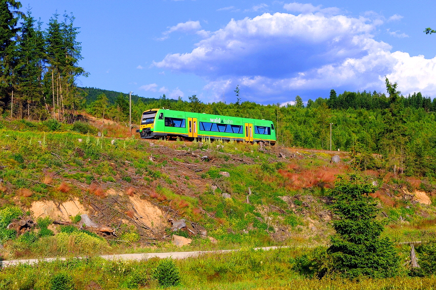 k-002. Lichtenthal 22.07.2013 hr