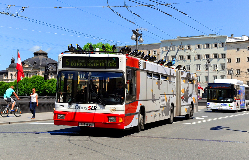 k-002. SLB O- Bus mit Raben 28.05.2013