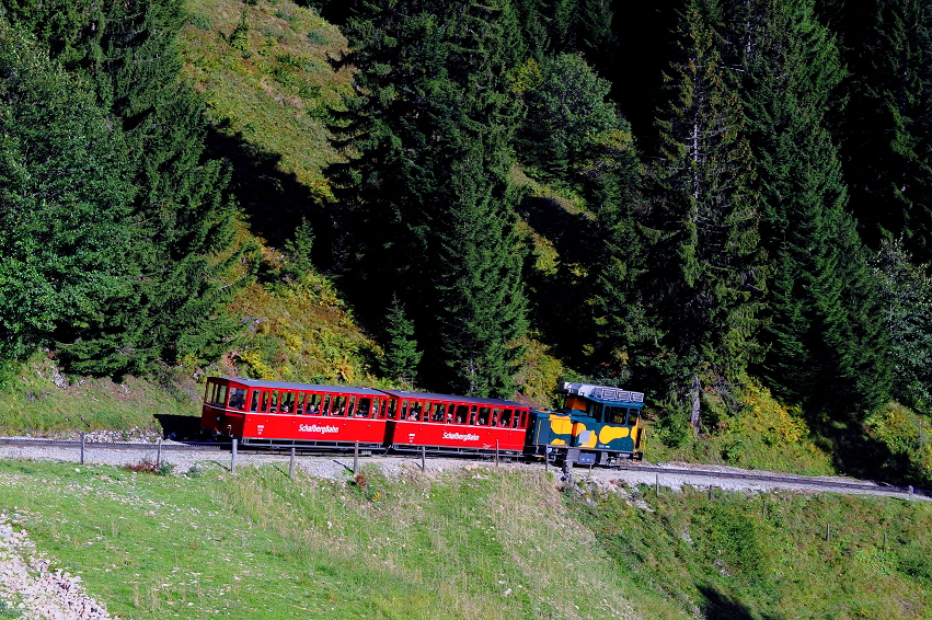 k-007. Schafbergb. bei Schafbergalpe 25.09.2012 hr