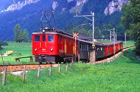 k-010 Brnigb. Deh 4.6 bei Meiringen aus Ri. Brnigpass 15.08