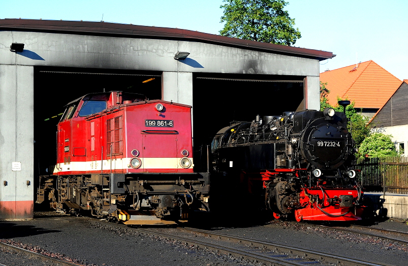 k-1009 BW Wernigerode Harzkamel und Dampflok 30.05.2011 hr