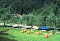 k-k-013