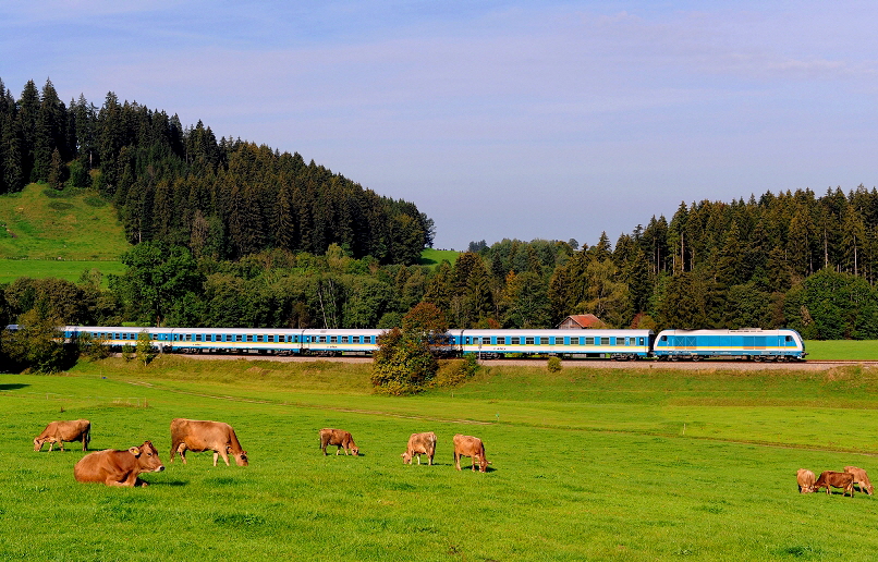 k-009 Allgubahn ALEX zug bei Harbartshofen 25.09.2011 hr