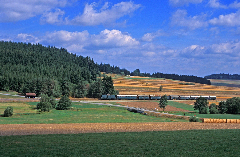 k-011. bei Kaltenbrunn 21.08.1994 hr