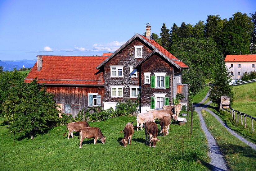 k-023. Bauernhof kurz vor Heiden 16.08.2018 hr