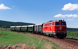 k-011. bei Retz 18.08.2019 hr x
