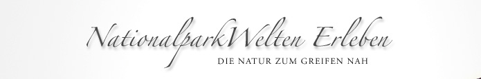 www.nationalparkzentrum.atNationalparkwelten.11.0.html